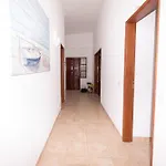 Carpe Diem Guest house