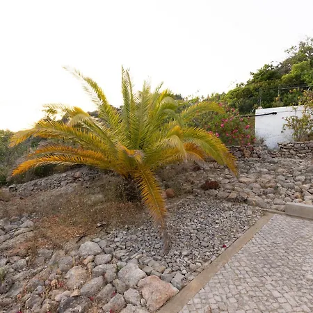 Carpe Diem Guest house